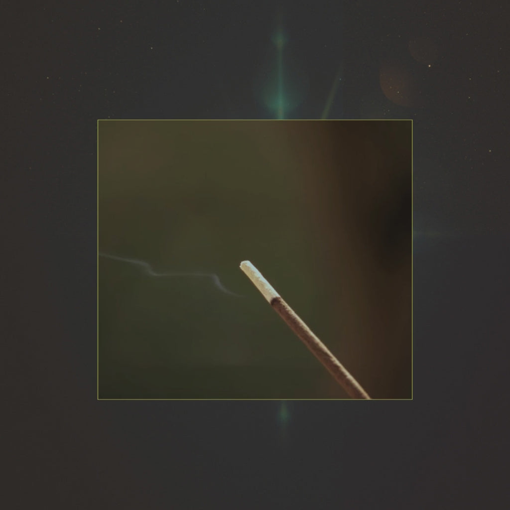 Hand Dipped Incense • ____________